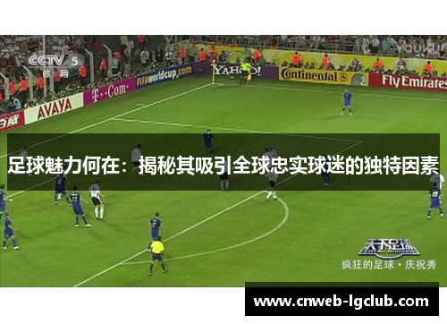 足球魅力何在：揭秘其吸引全球忠实球迷的独特因素